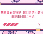 抖音直播间风火轮，暴力微信引流技术，低成本日加上千法-大兵轻创资源库