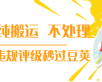 抖音纯搬运 不处理 小技巧,30秒发一个作品,避免违规评级秒过豆荚-大兵轻创资源库