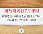 树敌研习社7月课程:破不适宜+零粉万人直播间卡广场+团队赚佣16W美女号套路-大兵轻创资源库