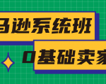 亚马逊系统班，专为0基础卖家量身打造，亚马逊运营流程与架构-大兵轻创资源库