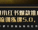 小红书爆款推广引流训练课5.0，手把手带你玩转小红书（17节实操视频+话术）-大兵轻创资源库