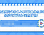视频号新机制与不刷赞撸养生茶玩法，轻松日赚1000+-大兵轻创资源库