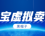 黑帽子淘宝虚拟卖货项目,单店每月收入5000+-大兵轻创资源库