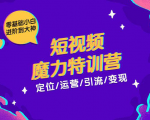 零基础小白进阶到大神《短视频魔力特训营》定位-运营-引流-变现-大兵轻创资源库