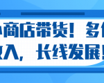 微信小商店带货,爆单多倍收入,长期复利循环!日赚300-800元不等-大兵轻创资源库