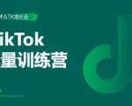 2020最新TikTok流量增长训练营(完结)附PPT-大兵轻创资源库
