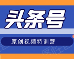 头条号原创视频特训营：一对一带你玩转短视频，新号10天日收益破252元-大兵轻创资源库
