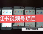 野路子小红书视频号1.0项目，直接上手操作就能赚钱的视频号项目-大兵轻创资源库