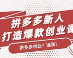 拼多多新人打造爆款创业课：快速引流持续出单，适用于所有新人-大兵轻创资源库