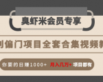 暴利偏门项目全套合集视频教程：你要的日赚1000+月入几万+项目都有-大兵轻创资源库