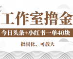 工作室撸金二件套：撸今日头条原创收益+小红书一单利润40块项目-大兵轻创资源库