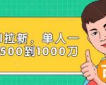 Paypal拉新赚美刀项目,单人一天利润500-1000刀【视频课程】-大兵轻创资源库