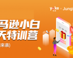 雨课·亚马逊小白特训营第9期 跨境电商挺赚钱的 有朋友已经月入几十万美金-大兵轻创资源库