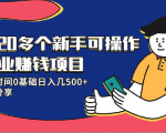 20多个新手可操作的副业赚钱项目：业余时间0基础日入几500+实操分享-大兵轻创资源库