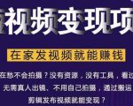 在家也能操作的短视频赚钱项目，无需真人，不用拍摄，纯搬运月入2到5万-大兵轻创资源库