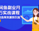 2021闲鱼副业月入过万实战课程：从开店到选择货源到引流，全程实战教学-大兵轻创资源库