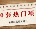 30套热门项目：单日最高收入过万 (网赚项目、朋友圈、涨粉套路、抖音、快手)等-大兵轻创资源库