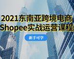 2021东南亚跨境电商Shopee实战运营课程，0基础、0经验、0投资的副业项目-大兵轻创资源库