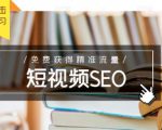 未来新趋势，布局短视频SEO，如何利用抖音SEO免费获得精准流量（3节课）-大兵轻创资源库