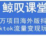 鲸叹号·海外TIKTOK训练营,百万项目海外版抖音tiktok流量变现玩法-大兵轻创资源库