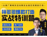 玺承云·拼多多爆款打造实战特训营,一套从入门到高手课程,让你快速拿捏拼多多-大兵轻创资源库