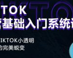 Tiktok实操进阶课程，体验从tiktok小透明到大佬的完美蜕变-大兵轻创资源库