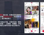 麦子互娱短视频带货·0基础做好物分享账号，无需出镜无需货源无需拍摄-大兵轻创资源库