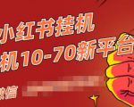 视频号小红书抖音挂机项目,小白无脑操作,按照要求来,单号每天几十米-大兵轻创资源库