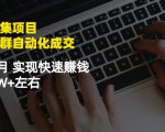 虚拟图集项目：矩阵站群自动化成交，3-5个月实现快速赚钱月入1W+左右-大兵轻创资源库