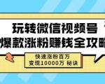 玩转微信视频号爆款涨粉赚钱全攻略，快速涨粉百万变现万元秘诀-大兵轻创资源库