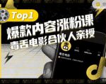 【毒舌电影合伙人亲授】抖音爆款内容涨粉课,5000万抖音大号首次披露涨粉机密-大兵轻创资源库