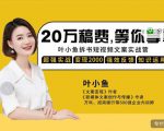 叶小鱼21天短视频文案拆书营，学完轻松搞定各类书单短视频文案-大兵轻创资源库