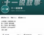 十一说故事·故事性中视频，观众快速共鸣从而快速变现的中视频玩法-大兵轻创资源库
