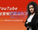 外国人眼中的YouTube该怎么玩？Elisa·YouTube运营推广实战技巧-大兵轻创资源库