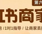 贾真-小红书商家营第6期商家版，21天带货陪跑课，让商家丢掉付流量-大兵轻创资源库