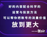 张sir账号流量增长课，告别海王流量，让你的流量更精准-大兵轻创资源库