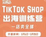 疯人院:TikTok Shop出海训练营（一店卖全球)，出海抢占全球新流量-大兵轻创资源库