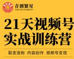 张萌21天视频号实战训练营，裂变涨粉、内容创作、视频号变现 价值298元-大兵轻创资源库