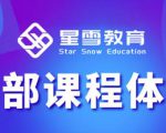 星雪教育淘系高级班,更全的运营提升方案,零基础由浅入深,店铺最新玩法-大兵轻创资源库