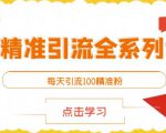 闲鱼精准引流全系列课程，每天引流100精准粉【视频课程】-大兵轻创资源库