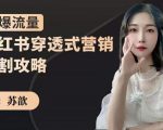 苏歆:小红书穿透式营销收割攻略,引爆流量,助你玩转小红书-大兵轻创资源库