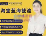 2022淘宝蓝海截流攻略,淘宝蓝海截流选品上货实操讲解-大兵轻创资源库