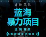 引流哥蓝海暴力躺赚项目：无需发圈无需引流无需售后，每单赚50-500（教程+线报群)-大兵轻创资源库