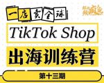 TikTokShop出海训练营（第十三期），打开全球流量新思维，出海抢占全球新流量，一店卖全球-大兵轻创资源库