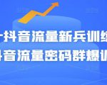 Peter抖音流量新兵训练营-破解抖音流量密码群爆训练营（新兵）-大兵轻创资源库