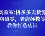 野路子实验室:拼多多无货源店群项目,新店破零,老店拯救等全方位教你打造店铺-大兵轻创资源库