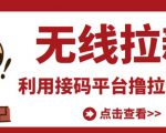 最新接码无限拉新项目,利用接码平台赚拉新平台差价,轻松日赚500+-大兵轻创资源库