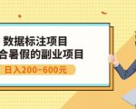 副业赚钱:人工智能数据标注项目,简单易上手,小白也能日入200+-大兵轻创资源库