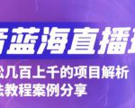 抖音最新蓝海直播玩法,3分钟赚30元,一天轻松1000+,只要你去直播就行【详细玩法教程】-大兵轻创资源库