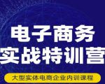 民赛电气内部出品:电子商务实战特训营,全方位带你入门电商,308种方式玩转电商-大兵轻创资源库